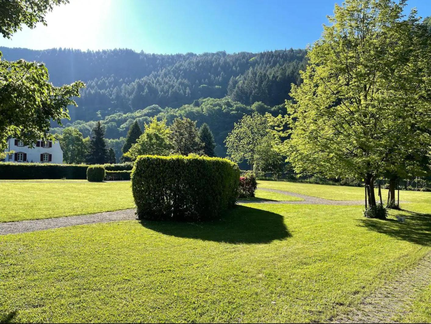 Penthouse Palais Mosel Διαμέρισμα Traben-Trarbach Εξωτερικό φωτογραφία